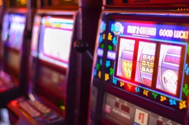 robin togel Terms & Conditions For Your Account